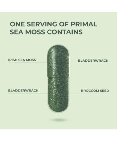 Primal Harvest Sea Moss Capsules with Bladderwack and Irish Sea Moss Chlorella Broccoli Seed Extract Plant-Based Supplements for Adults - Buy Online on GoSupps.com