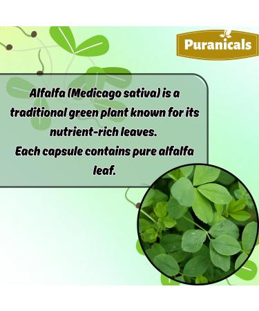Puranicals Alfalfa 320 Capsules & Neem 320 Capsules Herbal Supplement Combo Pack | Easy Daily Use | Non-GMO Ingredients No Artificial Colors | Capsules Combo Pack - Buy Online on GoSupps.com