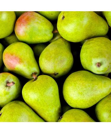  Corine de Farme Corine de Farme - Kids 2-in-1 Shower Gel Body and Hair Pear Fragrance - Sensitive Skin Hypoallergenic Clean Beauty Formula - Buy Online on GoSupps.com