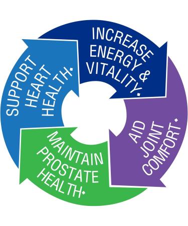 BlueBonnet Nutrition Mens' ONE 40+ Whole Food-Based Multiple Men Multivitamin for Men 40+ Soy-Free Non-GMO Gluten Free Kosher 30 Vegetable Capsules 30 Servings 30 Count (Pack of 1) - Buy Online on GoSupps.com