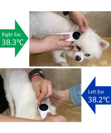 Dog Ear Temperature Monitor Pet Infrared Thermometer Only for Pets Measure in 1 Second with Mute Function C/F Switchable - Buy Online on GoSupps.com
