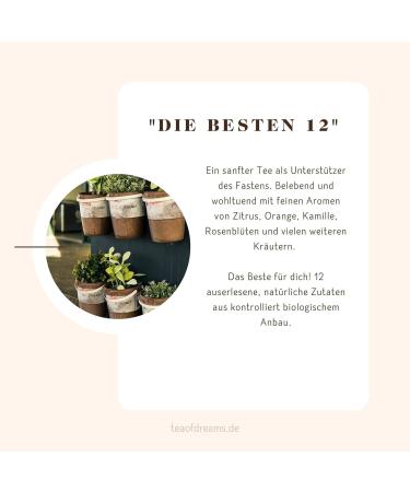  Tea of Dreams Organic "Die Besten 12" Fast Tea | Natural Herbal Tea Blend with 12 Ingredients and Mate | Loose Tea | 45g - Buy Online on GoSupps.com