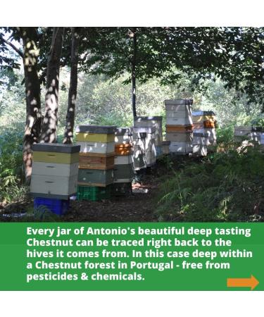 Antonio's Raw Certified Organic Chestnut Honey | Antioxidant & Mineral Rich | Unpasteurised | Single Origin - 500g - Buy Online on GoSupps.com