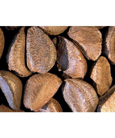 Fresh Raw In-shell Whole Brazil Nuts (2) 2.0 Pounds
