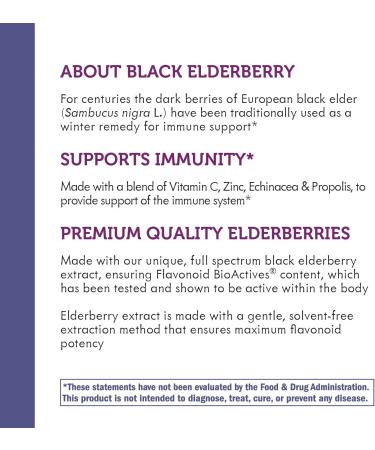 Nature's Way Sambucus Immune Elderberry Lozenges with Echinacea & Zinc - 30 Count - Buy Online on GoSupps.com