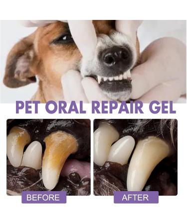 LWJUWOKL 3PCS Pet Oral Repair Gel Dog Cat Teeth Cleaning Gel Pet Breath Freshener for Dogs & Cats Pet Oral Restorative Gel - Buy Online on GoSupps.com