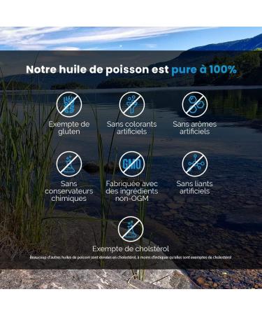 Intelligent Labs Omega 3 Ultra Pure | 2250mg Omega 3 per 3 Capsules | Superior Triglyceride Fish Oil Refined for Total Purity | Huge EPA & DHA Content | 120 Capsules - Buy Online on GoSupps.com