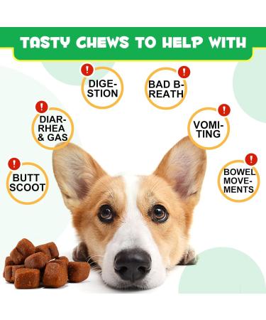 Probiotics for Dogs Pre & Probiotic Digestive Treats for Dogs Support Gut Health Digestive and Immunity Boost Heatlth & Energy for All Ages and Breeds 60 Chews Duck Flavor - Buy Online on GoSupps.com