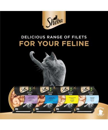 SHEBA Bowl Fillets Chicken with Shrimp 16 x 60g - Premium Cat Food for International Shipping - Buy Online on GoSupps.com