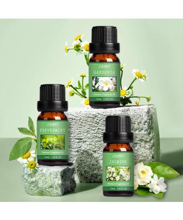 Spring Essential Oils Set for Aromatherapy and Candle Making - Gardenia, Jasmine, Peppermint, Fresh Cut Grass, Spring Rain Breeze Scent Oil - Buy Online on GoSupps.com