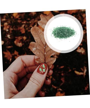 Healeved 1 Glass Chip Nail Punk Nail Jewels Rhinestones Nails Rhinestones Shiny Nail Glitter Craft Crushed Glass Diy Epoxy Filling Bottle Nail Rhinestones Colored Charm Jewelry Drill 0.5X0.3cm Green - Buy Online on GoSupps.com