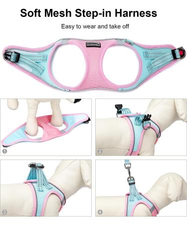 Doramio Small Dog Harness with Leash - Reflective Breathable & Anti-Train Safety for Small Dogs & Cats (XS Pink/Blue) - Step-In Design - Buy Online on GoSupps.com