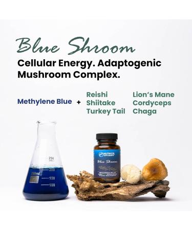 Nutricel Methylene Blue Capsules with Mushroom Extracts: Lion's Mane Reishi Cordyceps Chaga Shiitake Turkey Tail - Trusted Made in America Brand - 7mg (USP Reference Compliant) (60ct) - Buy Online on GoSupps.com