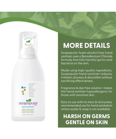 Soapopular Alcohol Free Foam Hand Sanitizer 0.15% Benzalkonium Chloride Hypoallergenic Fragrance Free Safer for Kids 550mL (Pack of 3) - Buy Online on GoSupps.com