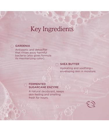 HANNI Cocoon Cleanse Serum with Shea Butter, Soap-Free Body Wash, Hydrating Cleanser with Eucalyptus, 3.7 oz (2 Pack) 3.7 Ounce (Pack of 2) - Buy Online on GoSupps.com