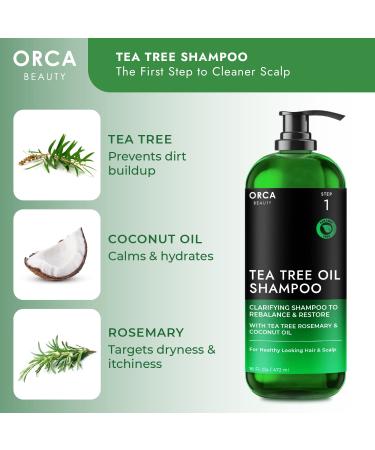 Buy Tea Tree Oil Shampoo for Healthy Hair - Dandruff Oily Hair & Dry Scalp Treatment (16oz) - International Shipping Available - Buy Online on GoSupps.com