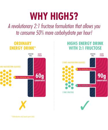 HIGH5 Energy Drink with Protein, Carbs, and Electrolytes (Berry 1.6kg) - Energize Your Workout - Buy Online on GoSupps.com