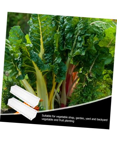 Toddmomy Vessel Tools 6 Pcs Square Cucumber Molds Vegetables Fruit Growing Molds Gardening Supplies Ginseng Fruit Gourd - Buy Online on GoSupps.com