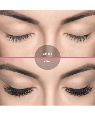 TDANCE 600 Premade Fans Eyelash Extensions 8-15mm | 5D-24D Handmade Promades | C/D Curl Loose Fans | Mixed Length | 10D | 0.07-D - Buy Online on GoSupps.com