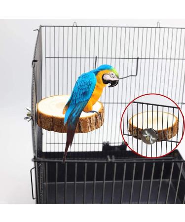 Chikanb 8-Piece Parrot Play Set | Colorful Wooden Bird Toys for Budgies Lovebirds and Parrots - Ideal for All Bird Types - Buy Online on GoSupps.com