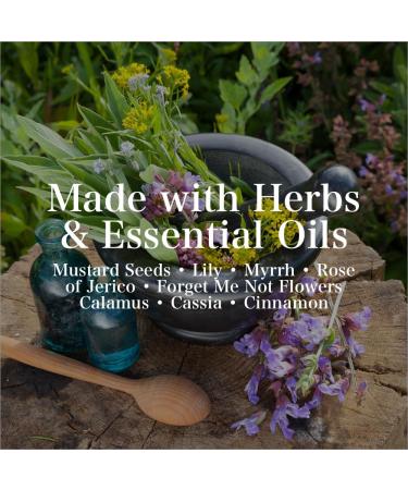 Holy Spirit Oil 1/2 oz - Handmade Herbal Essential Oil for Faith Blessings & Prayers | Hoodoo Wicca Pagan Conjure Spirituality - Buy Online on GoSupps.com