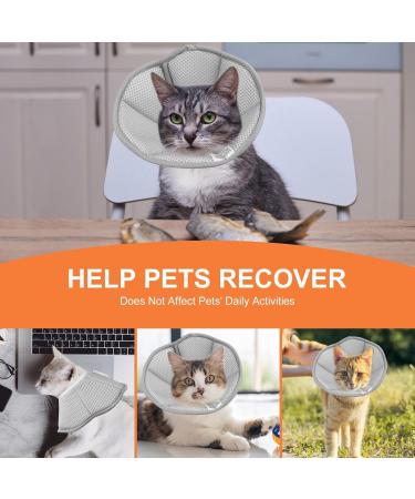 Adjustable Elizabethan Collar for Pets | Dndgdlua Protective E-Collar for Kittens Puppies & Rabbits | Prevents Licking & Biting - Size S Gray - Buy Online on GoSupps.com