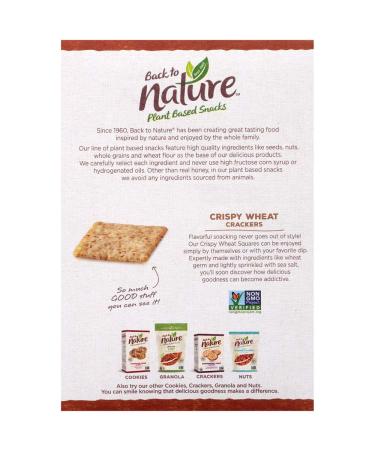 Back to Nature Non-GMO Crispy Wheat Crackers - 8 Ounce (Pack of 1) - Buy Online on GoSupps.com