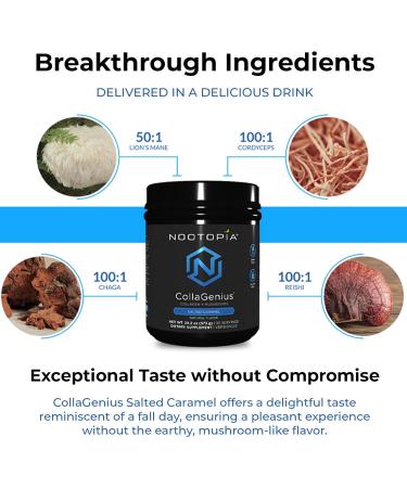 Nootopia Collagenius v 2.0 - Blended Powder of 4 Mushrooms, Collagen & Superfoods - Brain Supplement Supports Focus, Memory, Hair, Skin - Salted Caramel 15 Servings Salted Caramel 10.1 Ounce (Pack of 1) - Buy Online on GoSupps.com