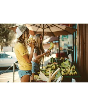 Sun Bum Anti Frizz Oil Mist Spray - 3oz Bottle, 2-Pack - Humidity Control, Paraben-Free Moisturizing Hair Spray - Buy Online on GoSupps.com