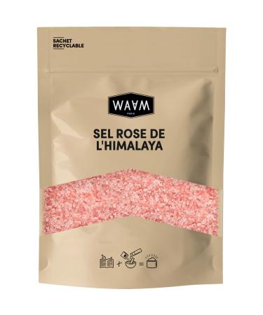 WAAM Cosmetics Sel rose de l Himalaya 100% pur et naturel Sel exfoliant et d toxifiant Pour bains et gommage du corps 500g