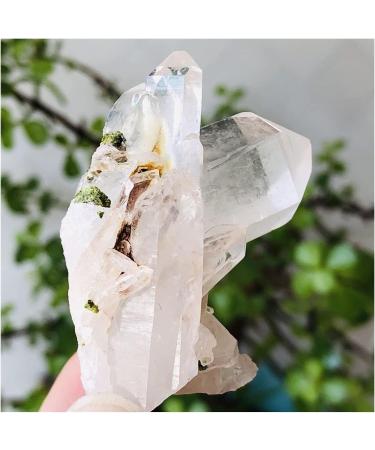 1PC Natural Clear Crystal Cluster Decoration ZJGIDTEM (Size : 150-200g) - Buy Online on GoSupps.com