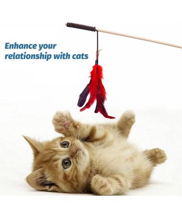 IOSPKKIO Pack of 10 Cat Feather Toys Replacement Cat Toy Magic Wand Refills with Storage Bag Cat Feather Refill Interactive Cats - Buy Online on GoSupps.com