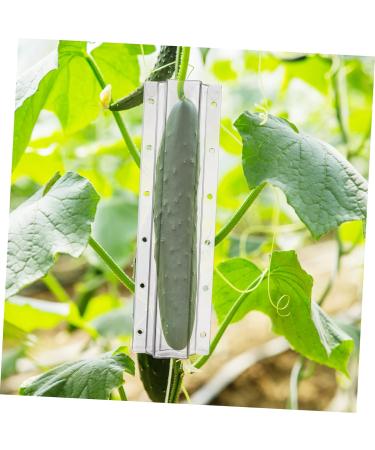 Sosoport 16 Pcs Shaped Growth Mold Chocolate Molds Fruit Growth Cucumber Shaping Molds Christmas Candy Fruit Shaping Molds Tool Cucumber Growth Molds Heart Plastic Vegetable Stereotypes As Shownx4pcs mediumx4pcs - Buy Online on GoSupps.com