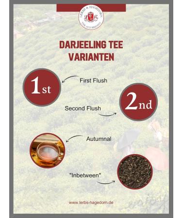  Lerbs & Hagedorn Black-Line Darjeeling TGFOP-I Sungma 250 g - Buy Online on GoSupps.com