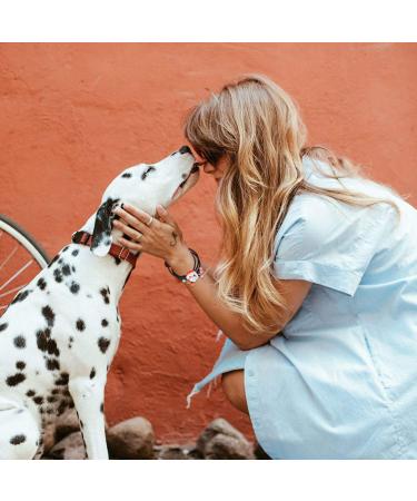 Frcolor Cartoon Elastic Hair Ties for Baby Girls - 8-Piece Christmas Loop Ponytail Holders - International Shipping Available - Buy Online on GoSupps.com