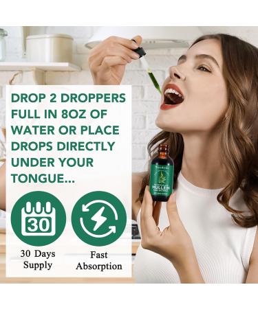 Mullein Leaf Extract for Lungs Mullein Drops for Lungs Mullein Chlorophyll Drops for Lungs Mullein Herbal Supplements with Chlorophyll (2Pack) 1 Fl Oz (Pack of 2) - Buy Online on GoSupps.com