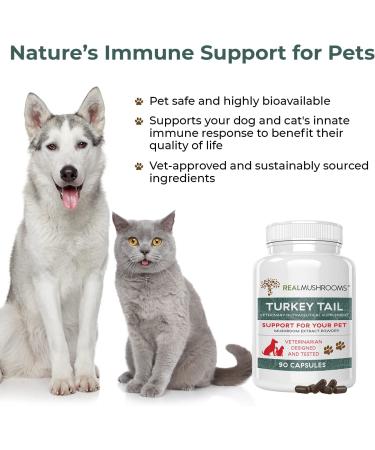Turkey Tail Pet Support - Vet-Approved Dog Multivitamins for Immune & Gut Health (90ct) - Buy Online on GoSupps.com