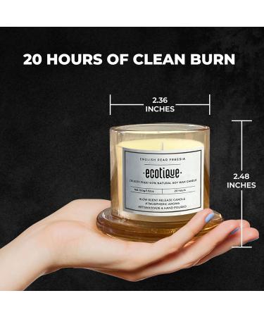 English Pear Freesia Scented Candle | Non-Toxic 100% Soy Aromatherapy | Long-Lasting Gift for Bedroom & Valentine s Day - Buy Online on GoSupps.com