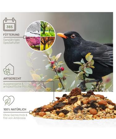 Premium Wild Bird Feed 5kg - Amsel Futter with Berries & Sunflower Seeds for Year-Round Feeding - Buy Online on GoSupps.com