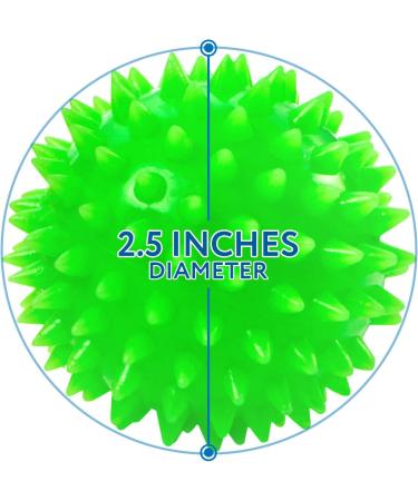 10-Pack Spiky Sensory Balls - Squeezy & Bouncy Fidget Toys/Sensory Toys - BPA/Phthalate/Latex-Free - Buy Online on GoSupps.com