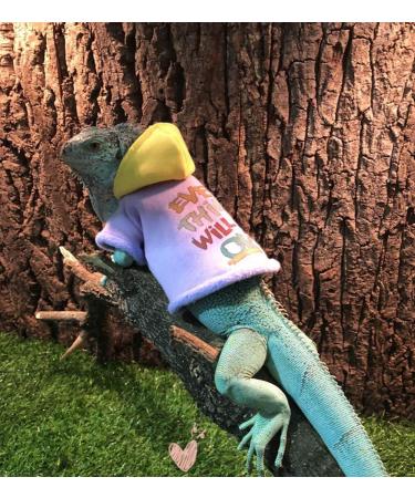 Lizard Clothes for Bearded Dragons Reptile Apparel Handmade Cotton Material Hoodies Sweater for Skin Protection Photo Party for Crested Gecko Chameleon Purple L - Buy Online on GoSupps.com