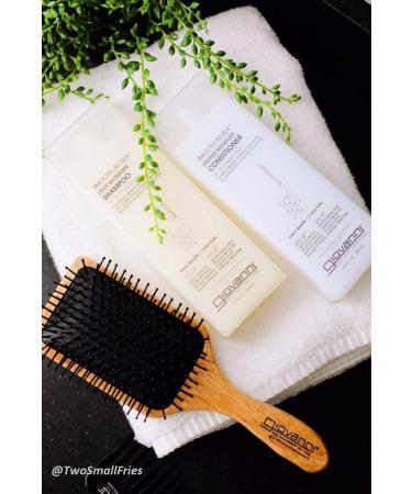 GIOVANNI Eco Chic Smooth as Silk Conditioner 24 oz - Frizz Control, Color Safe, Sulfate & Paraben Free, Apple & Aloe Extracts - Buy Online on GoSupps.com