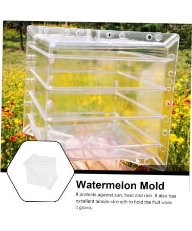 Generic 3pcs Vegetables Watermelon Growing Mold Fruit Shaping Molds Tool Pumpkin Square Forming Machine 15x15cmx3pcs Transparentx3pcs - Buy Online on GoSupps.com