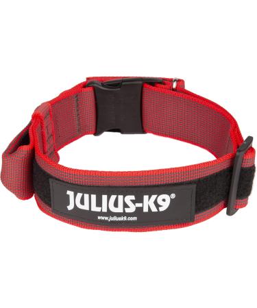 Julius K9 Color & Gray Series Adjustable Neck Band with Handle - 50mm (49-70cm) - Safety Closure - Red-Gray for Dogs - Buy Online on GoSupps.com