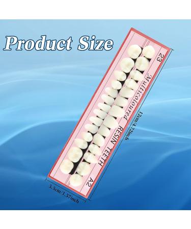 68-Piece Halloween Fake Teeth Set | Complete Acrylic Resin Denture Kit for Horror Props and DIY Models - 6 Sets Included | A2 Color - Buy Online on GoSupps.com