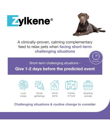 Zylkenee 450mg - 20 Capsules | Natural Stress Relief Supplement for Pets | Fast International Shipping - Buy Online on GoSupps.com