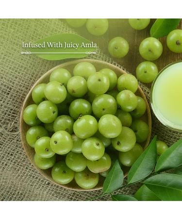 Blue Nectar Hair Fall Control Oil 100ml - Effective Hair Loss Treatment - Buy Online on GoSupps.com
