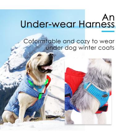 Thinkpet No-Pull Dog Harness Leash Set - Breathable Padded Reflective Safety Harness for Small Medium Large Dogs - Adjustable Running Harness (1 Pack) - Blue - Buy Online on GoSupps.com