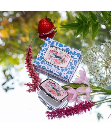 Cath Kidston Artist Kingdom Lip Balm | Shea Butter, Cocoa Seed Butter & Vitamin E | Vegan & Cruelty-Free | 6g - Buy Online on GoSupps.com