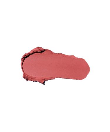 Anastasia Beverly Hills Matte Lipstick in Sun Baked - Long-Lasting & Vibrant Color - Buy Online on GoSupps.com